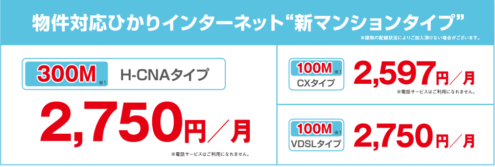 物件対応ひかりインターネット 新マンションタイプ