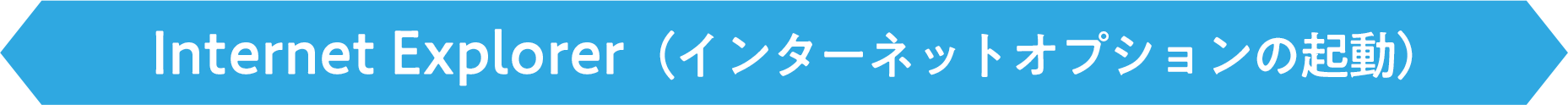 Internet Explorer 11(ブラウザの設定)