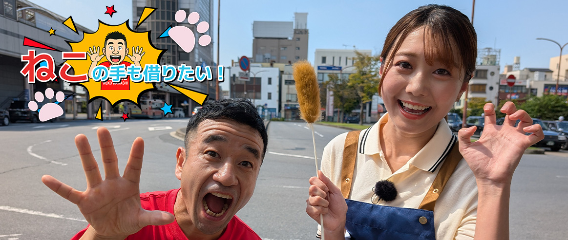 ねこの手も借りたい