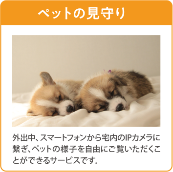 ペットの見守り