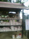 goutokujimanekineko.jpg