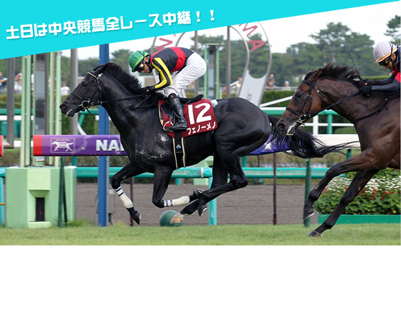 中央競馬全レース中継